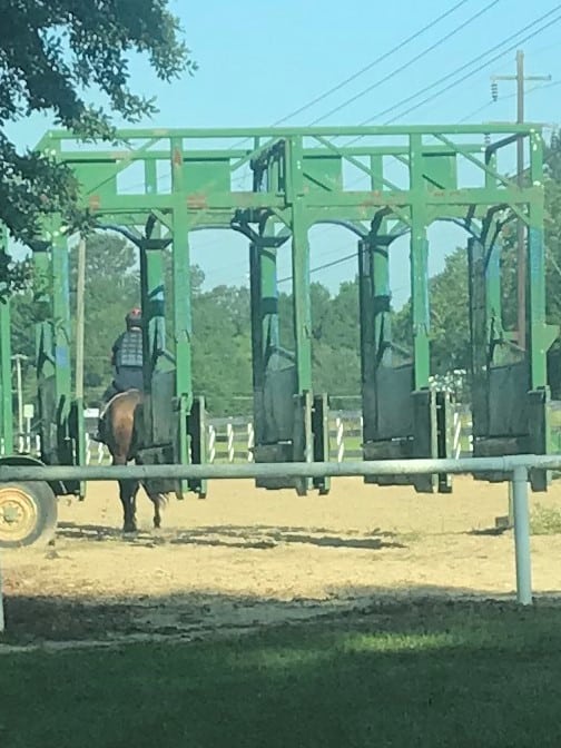 Foto van een set van training starting poorten op de Folsom racepaard training center, 