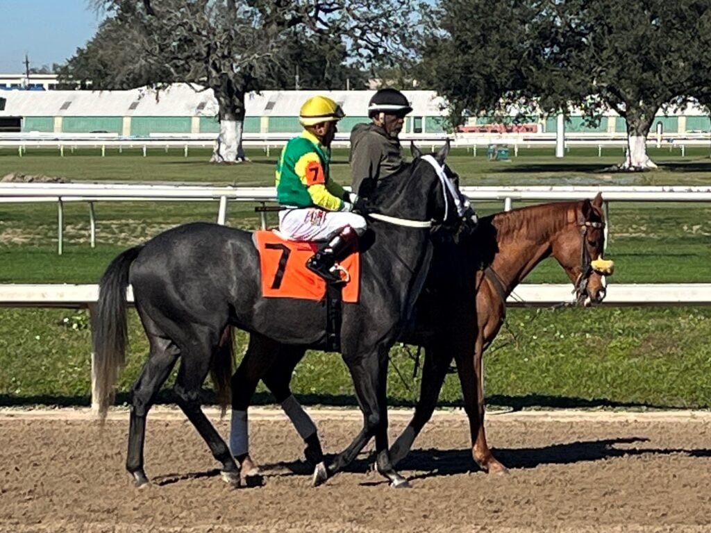 Picture of a small jockey riding a racehorse.