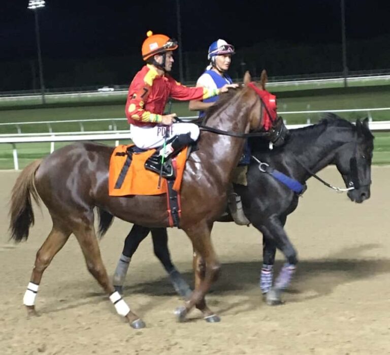 Why Jockeys Wear Silks And 12 Other Horse Jockey Facts.