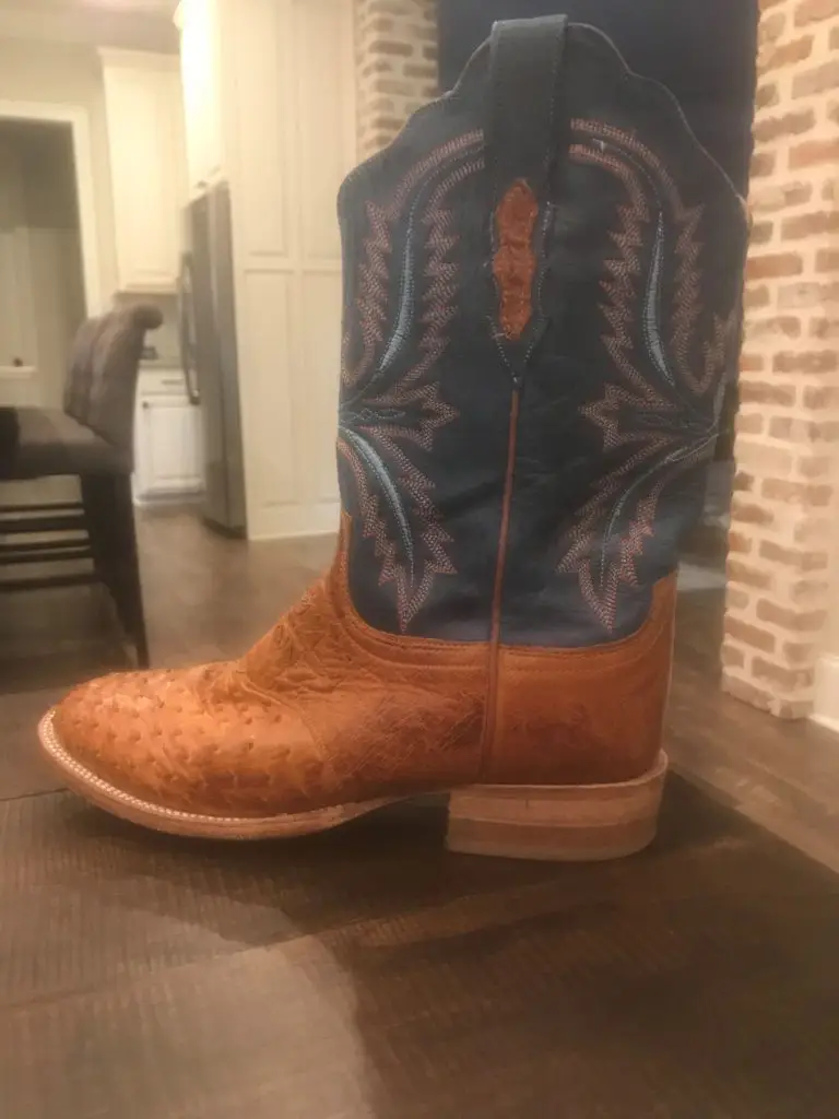 Picture of a pair of ostrich skin ropers.  If these cowboy boots get wet, it will not be good.  