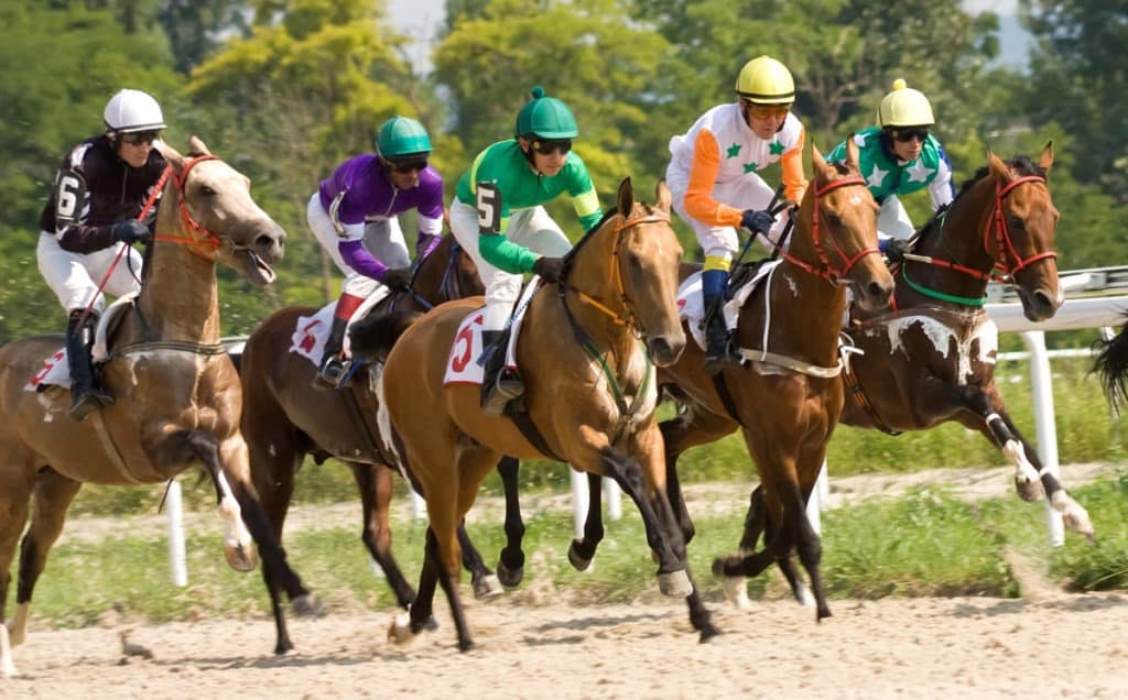 Picture of horses during a race with jockeys holding whips.