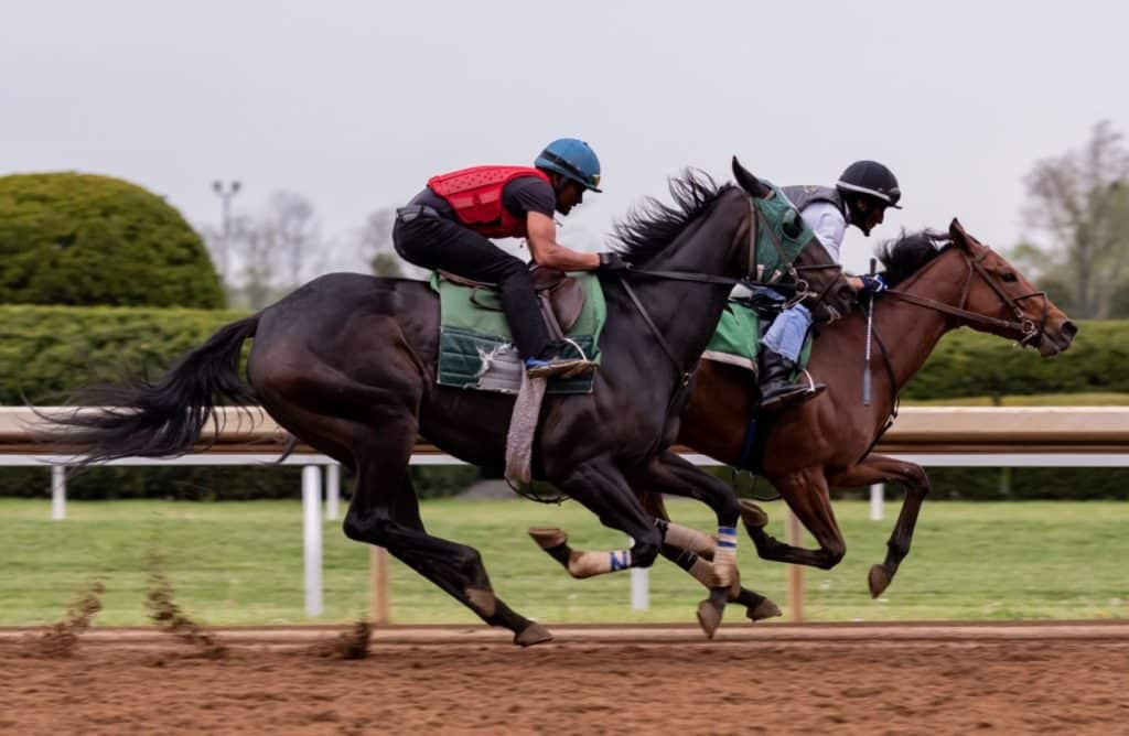 Race Horses Live How Long You May Be Surprised