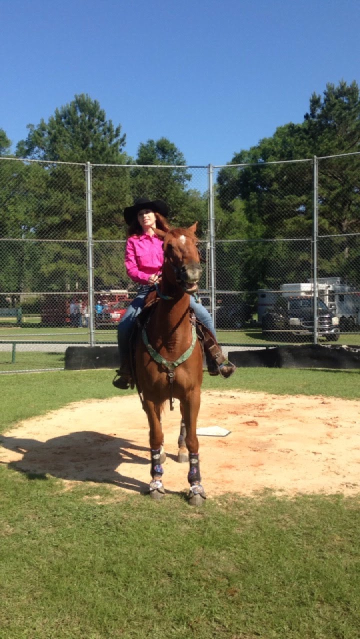 Retired Racehorse Adoption Guide All You Need To Know