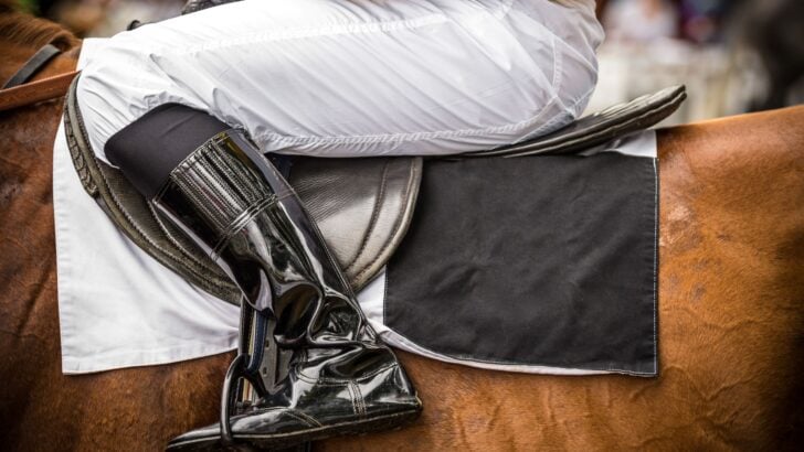 Why Racehorses Carry Different Weights — and What It Means for Every Race