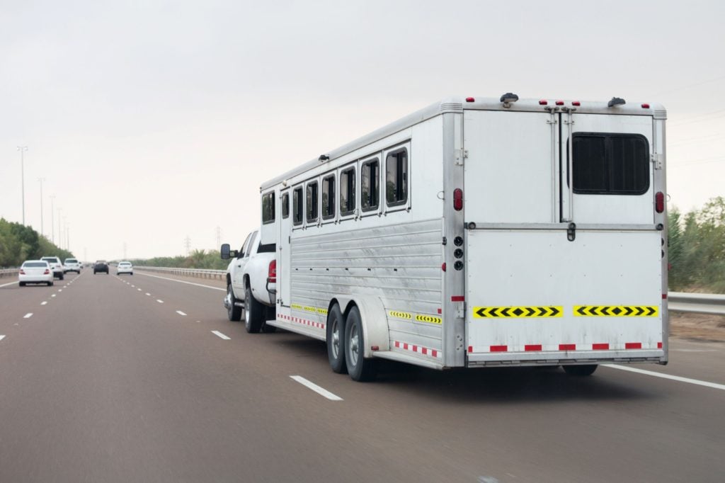 horse, horse trailer, essentials, must-haves, trailers,