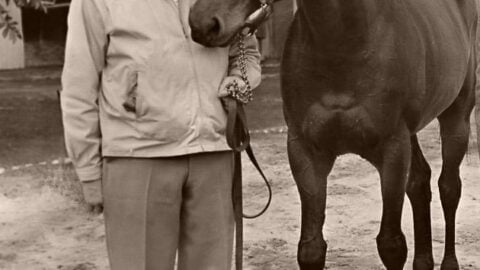 Seabiscuit: The Racehorse Who Captivated Depression-Era America