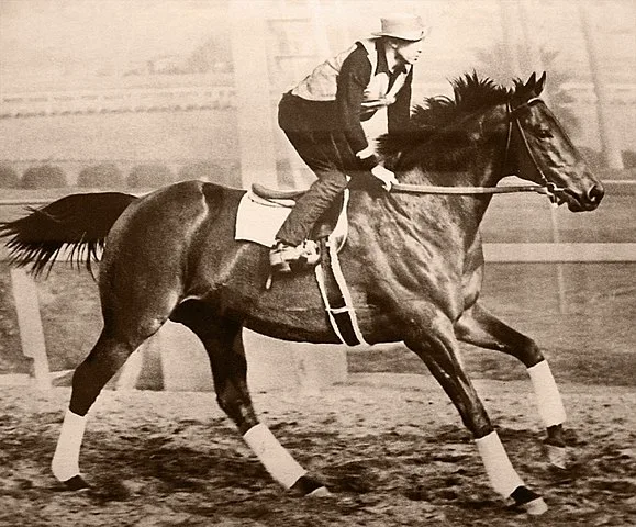 Picture of Seabiscuit during a morning workout.