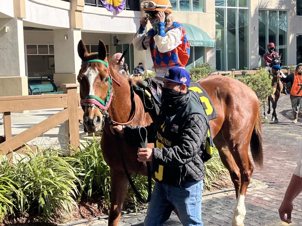 Picture of a chestnut racehorse