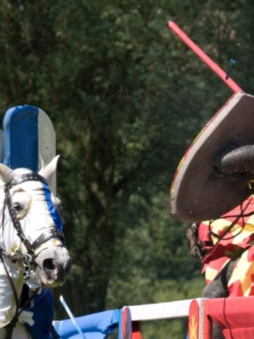 Dapple gray horse in a historical jousting re-enactment.