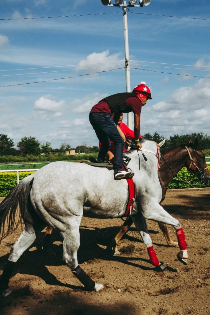 Picture of a pony horse trying to keep a young horse focused during training,,
