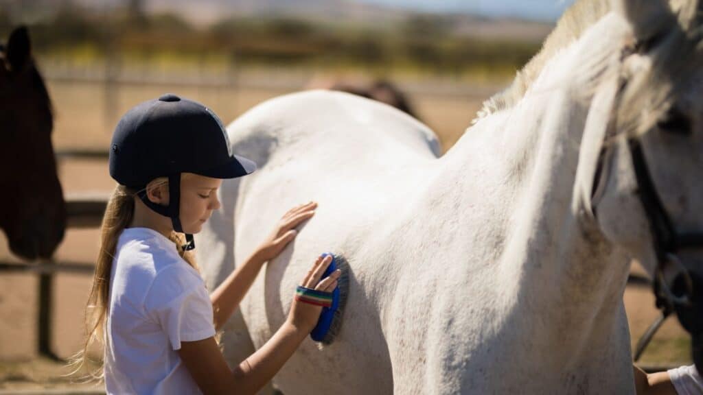 Picture of a young girl grooming her horse,