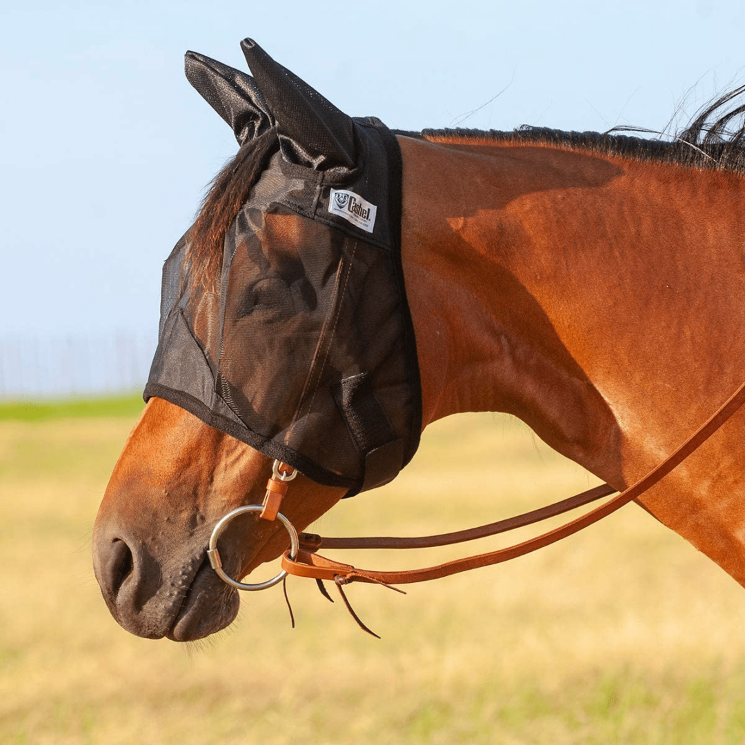 The 3 Very Best Horse Fly Mask With Ears