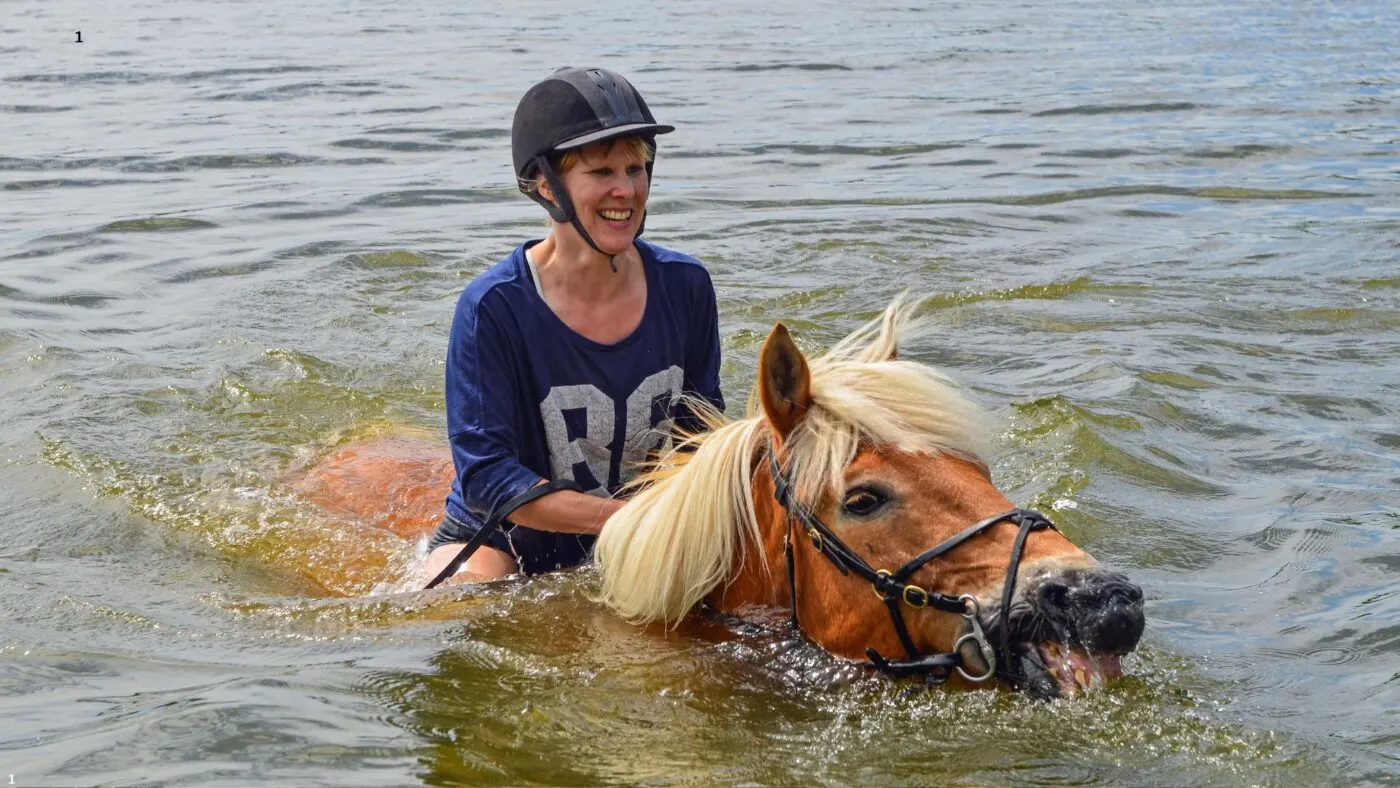 Swimming can build trust between rider and horse when done safely.
