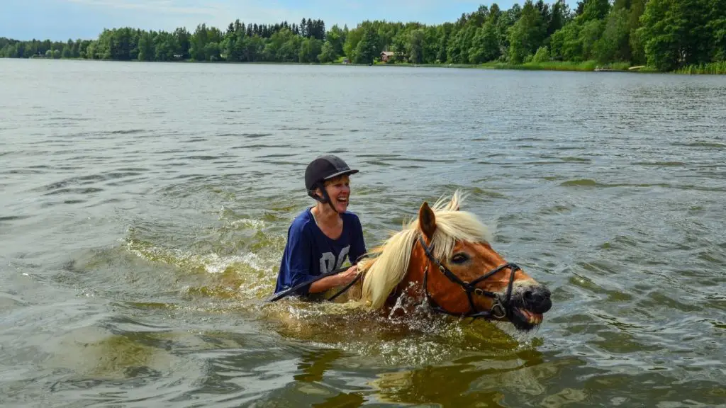 Picture of a rider on a horse swimming. 