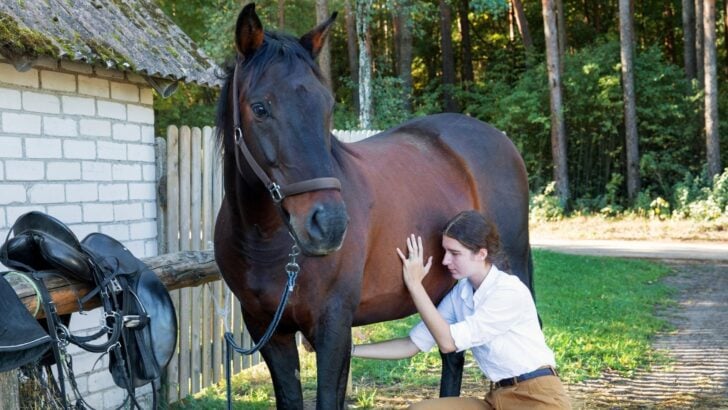Why Do Horses Trip and Stumble So Much? 7 Reasons