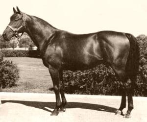 Best Racehorses Ever: The Top 10 Greatest Of All Time