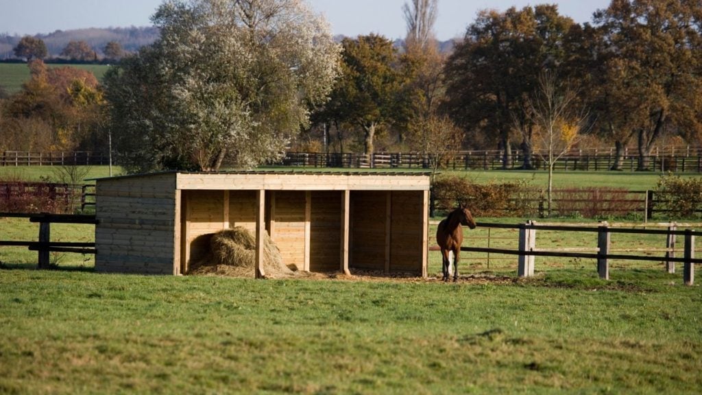 night,horse,shelter,