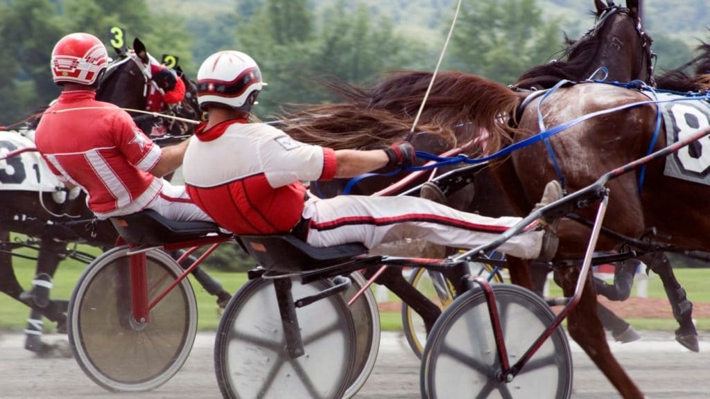 Picture of a harness race. 