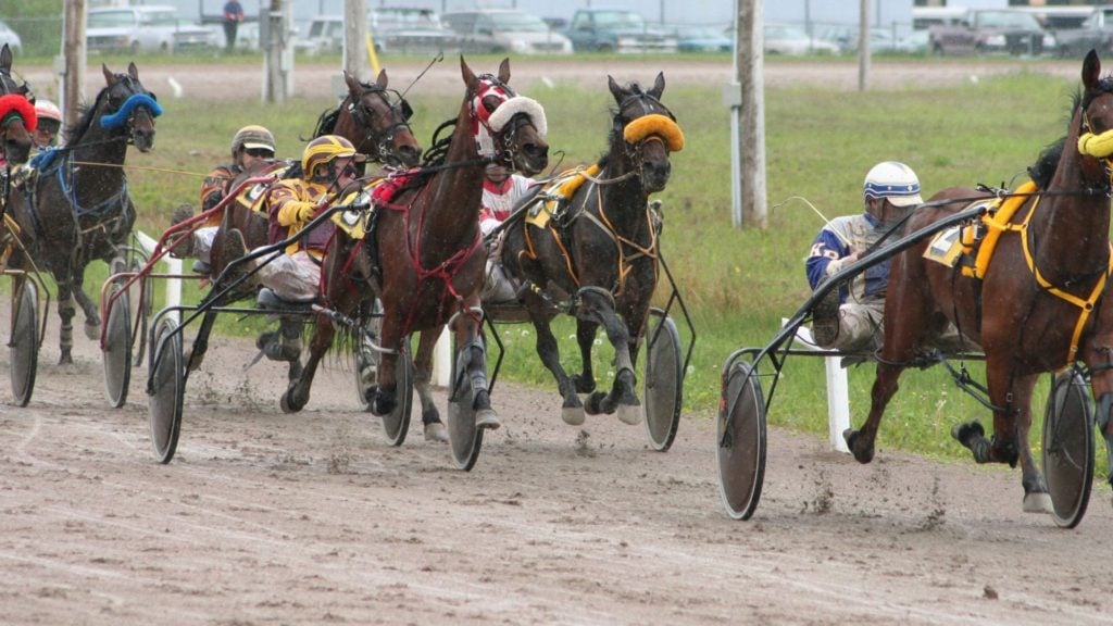 Picture of a harness race. 