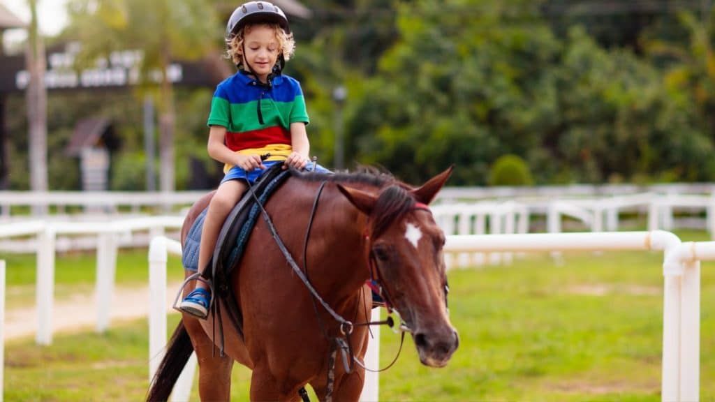 Picture of a boy taking a horse riding lesson.