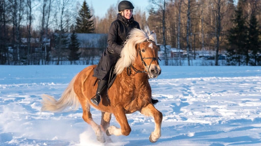 picture of a horse and rider running in the snow