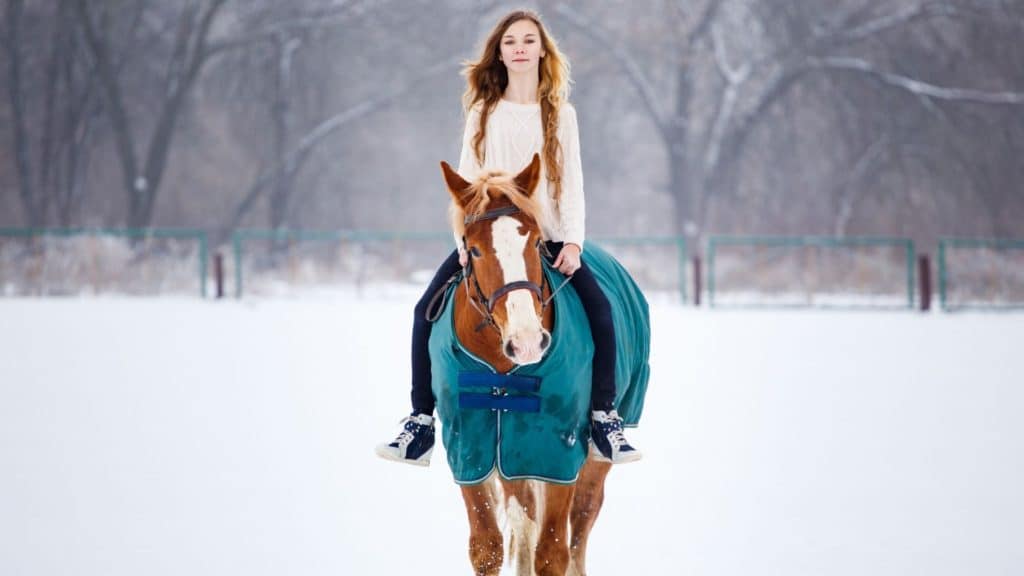 winter,horseback riding,