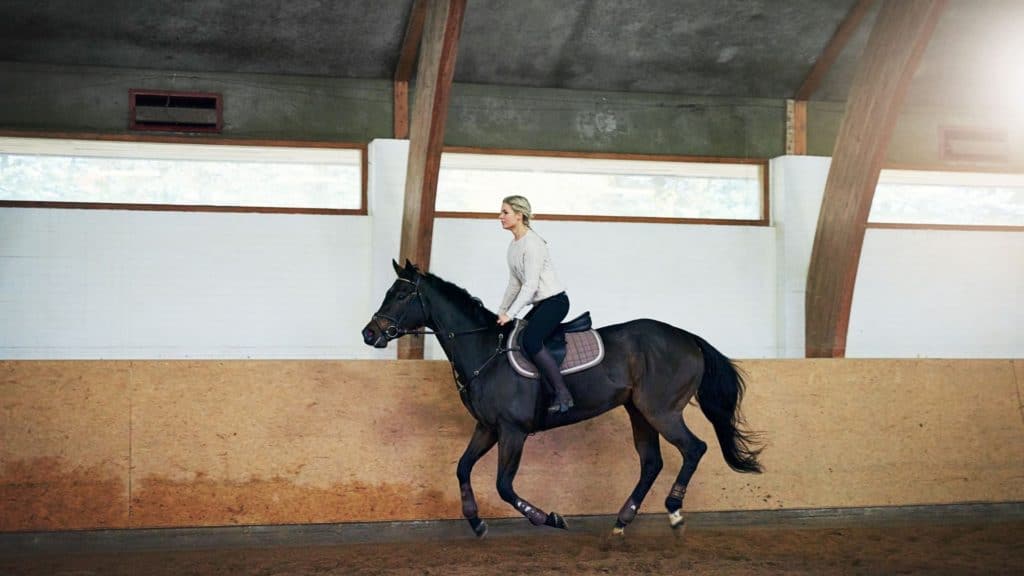 Picture of a woman training a horse in dressage,