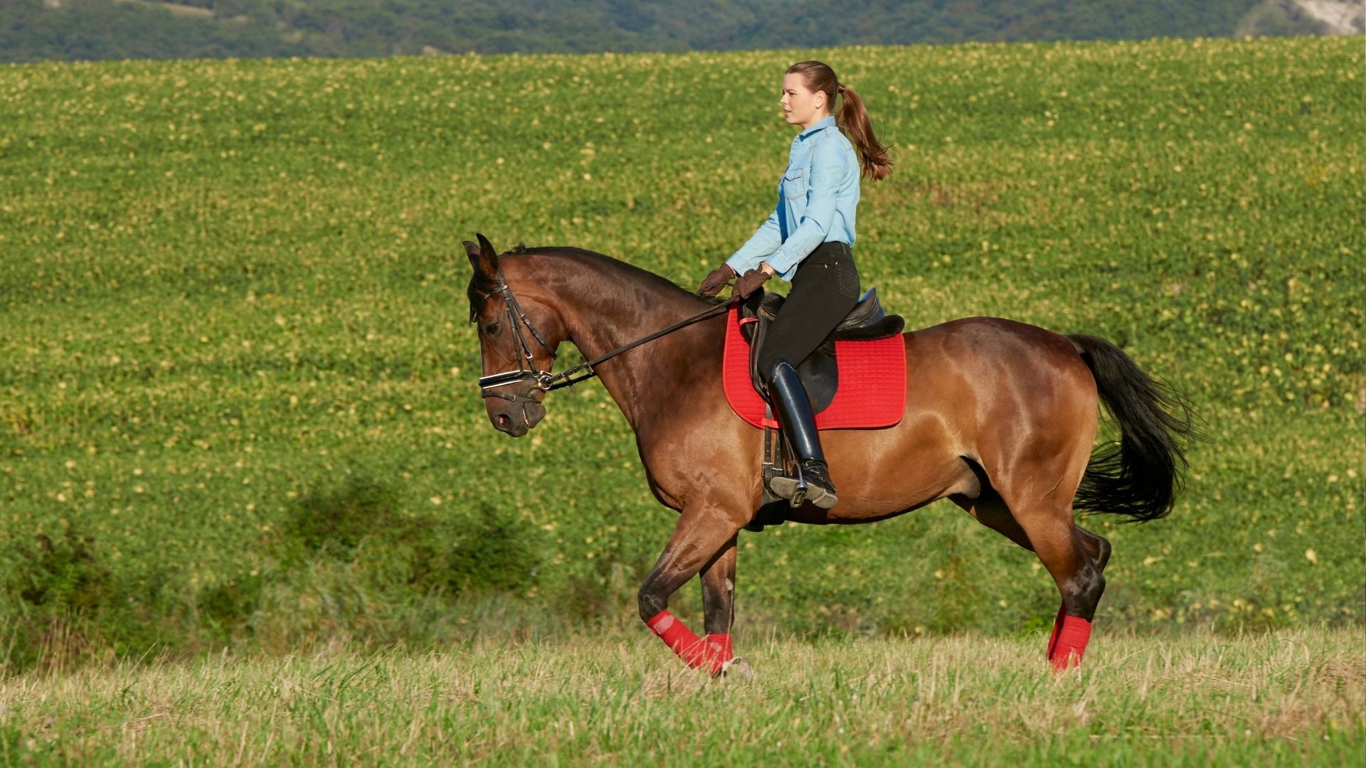 Side Profile Of Person Riding A Horse