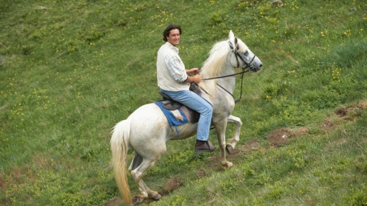 Horse and rider climbing a hill.