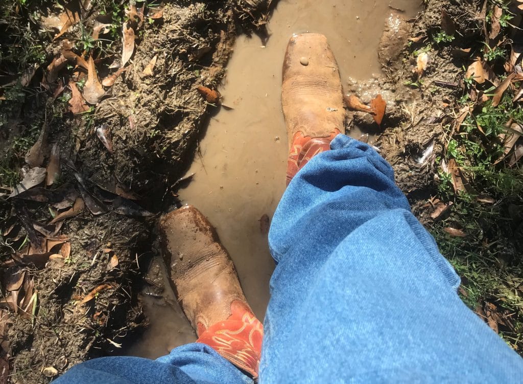 Miles Henry wearing square-toe cowboy boots at the barn