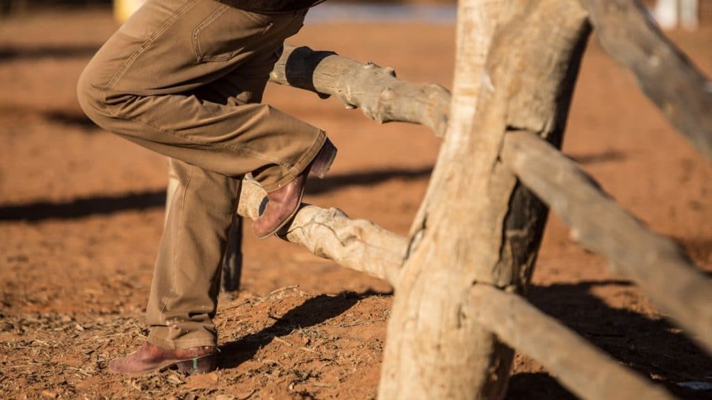 picture of a man wearing zipper cowboy boots,