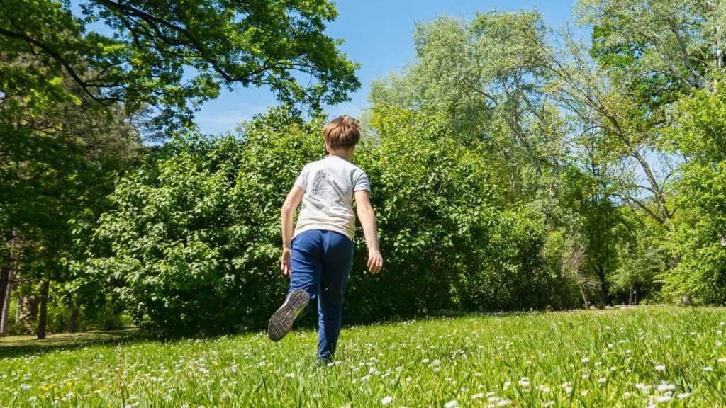 picture of a boy running from horseflies,