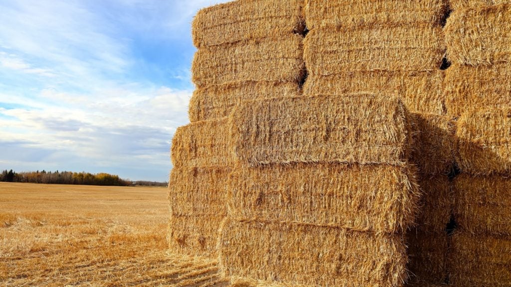  photo d'une pile de balles de foin, balles de foin,