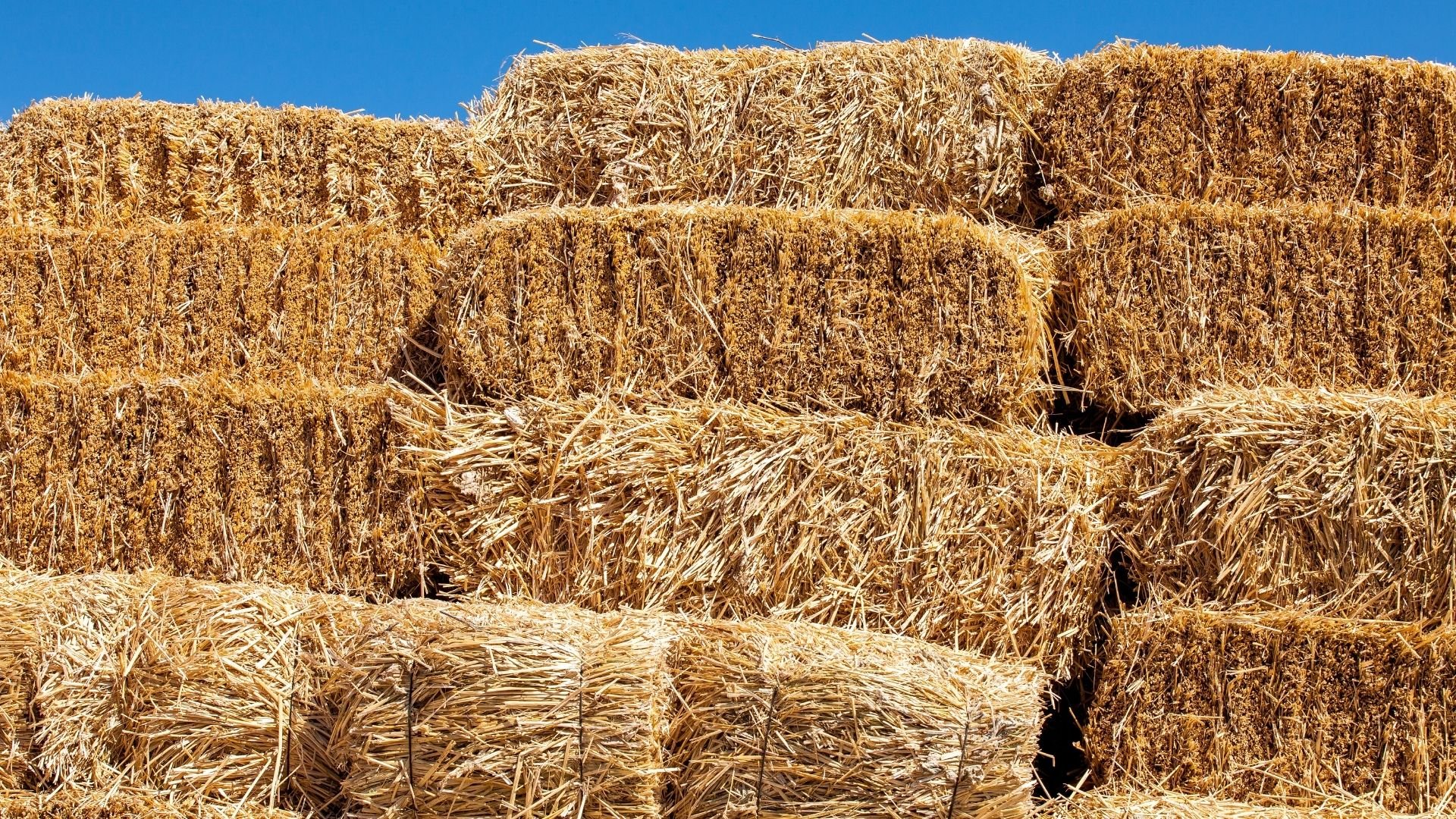 How Much Does A Hay Bale Cost? Mastery Wiki