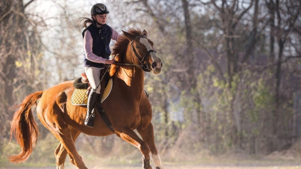 Can You Ride Your Horse While Pregnant?