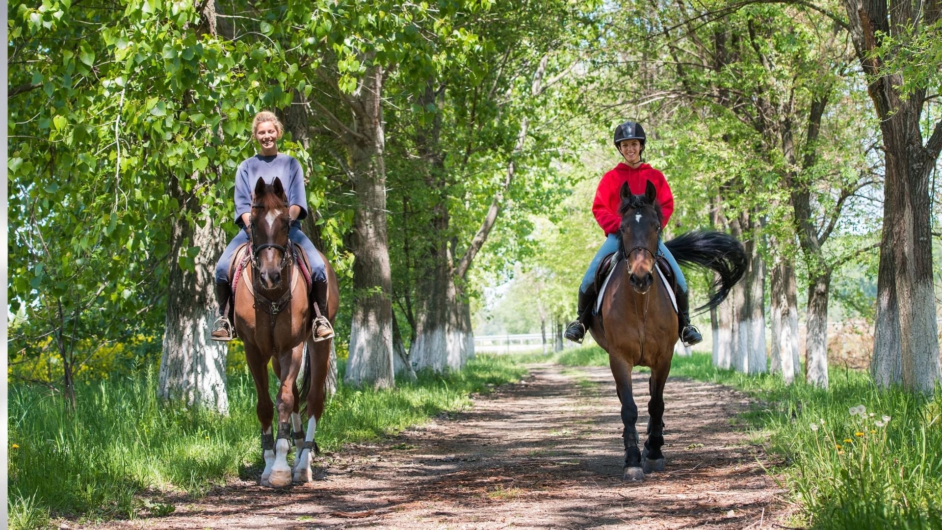 Pregnant Riding