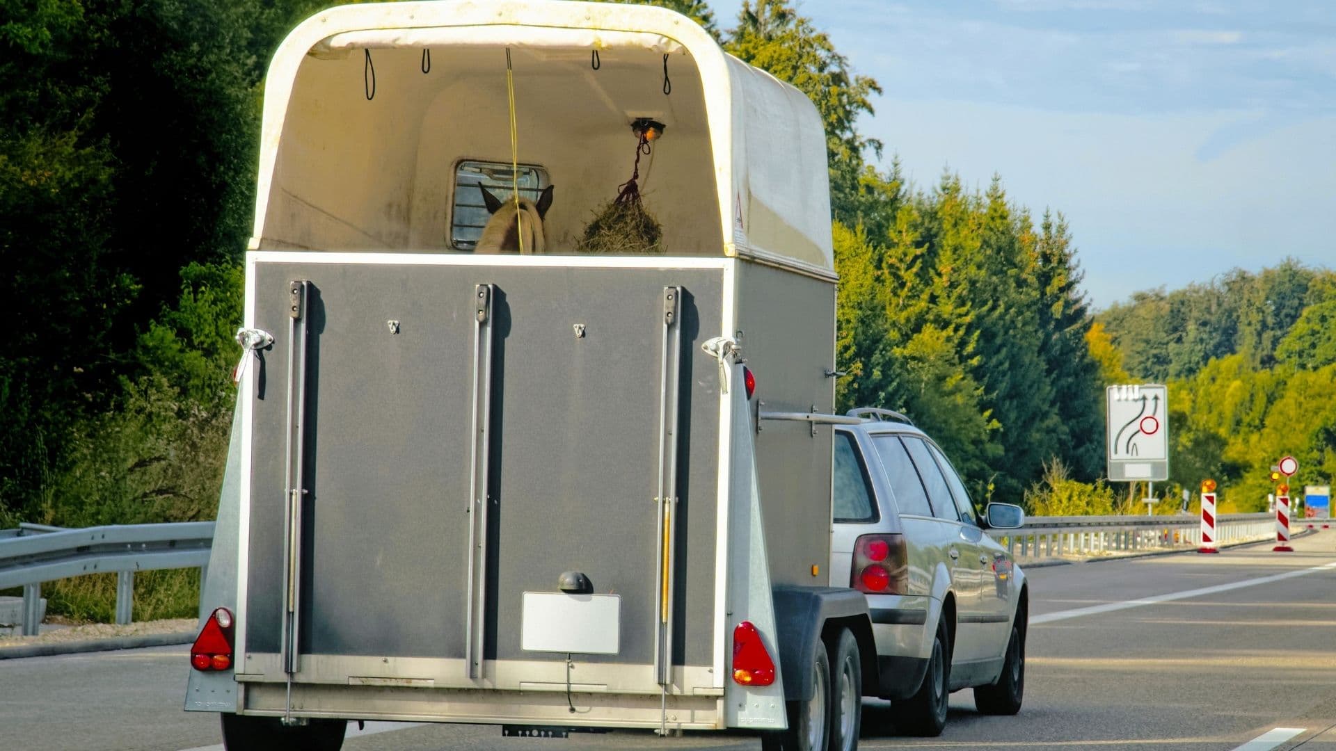 How To Back Up A Horse Trailer 11 Tips To Make It Easy