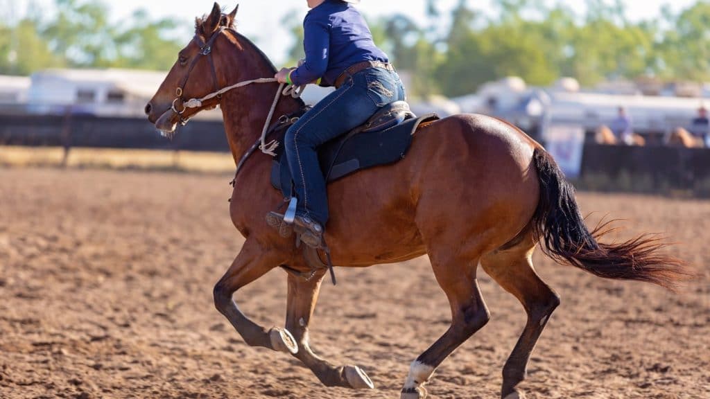 Picture of person horseback riding wearing western-style riding boots, 