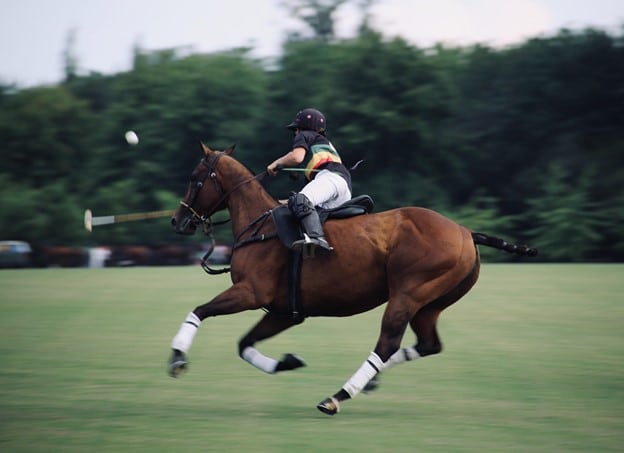 polo player on a horse chasing a ball,