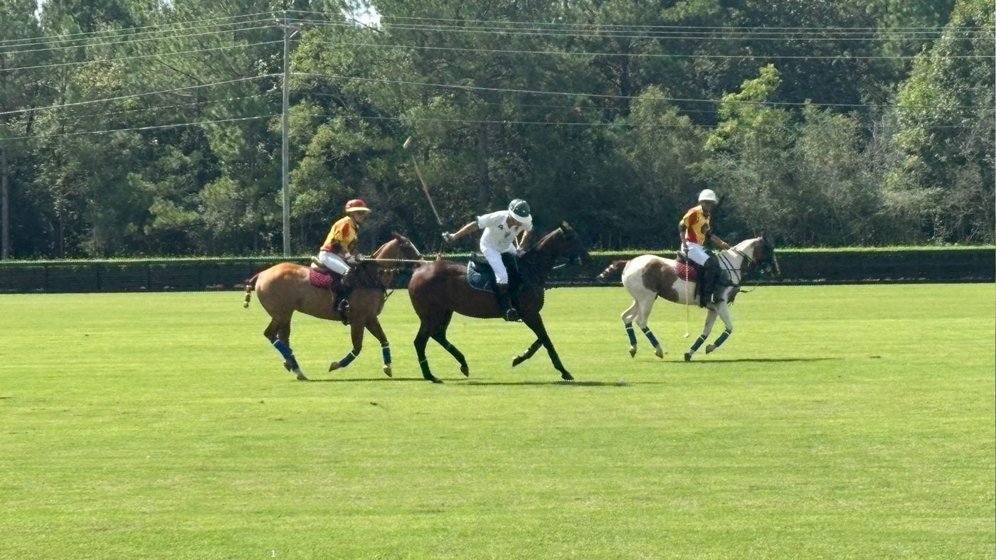 Polo player swinging a mallet during a match in Folsom Louisiana