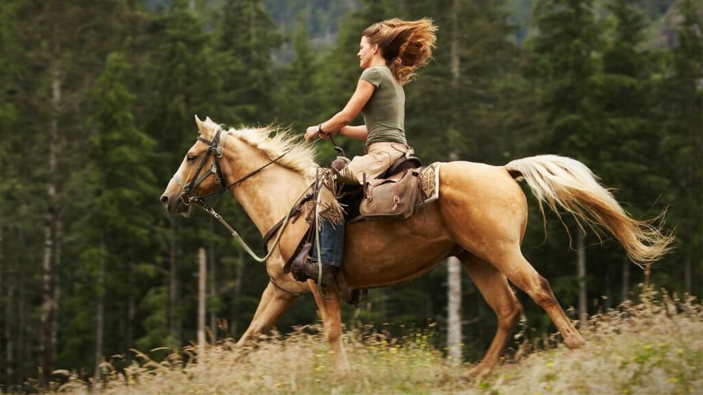 picture of a woman riding a palomino horse,
