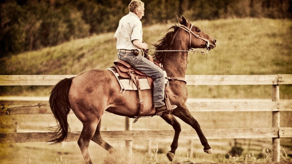 picture of a rider backing his horse to work its hind quarters,