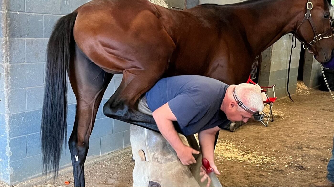 Farrier fixing a horse's shoe at a boarding barn. Farrier holding fees contribute significantly to total horse boarding costs.