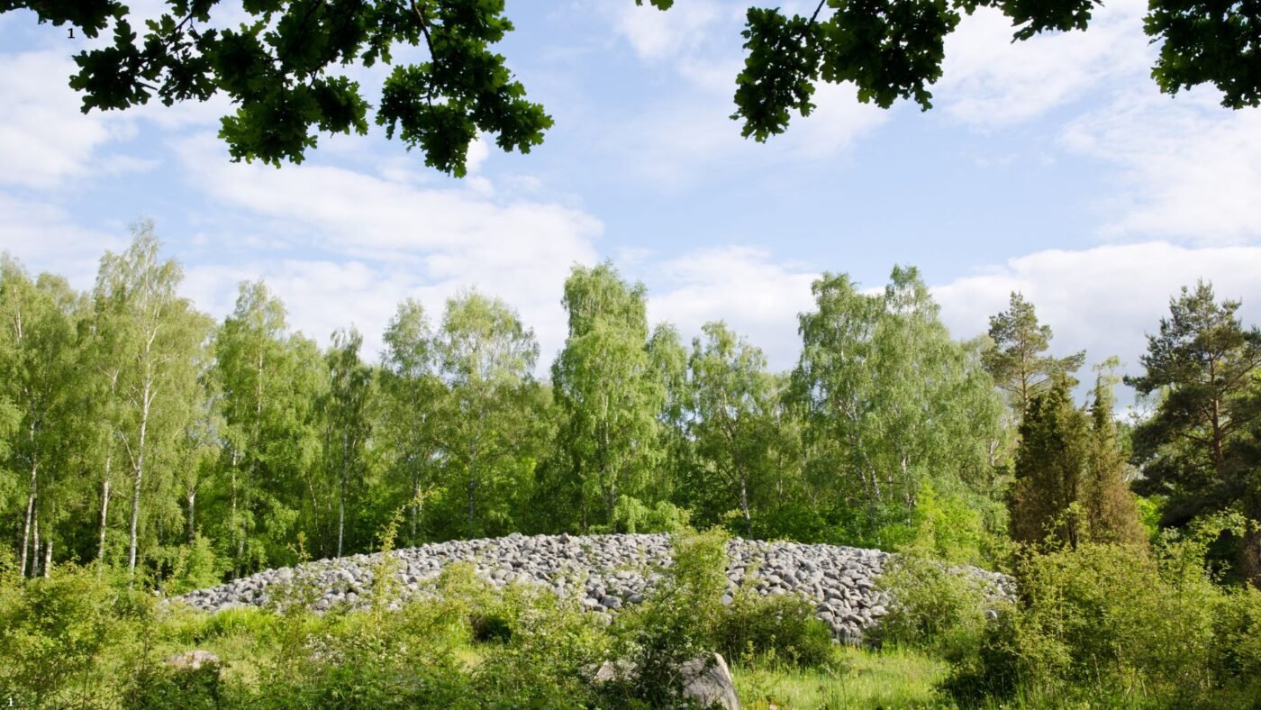 The Reasons Americans Don't Eat Horse Meat A pasture burial site for a deceased horse, illustrating eco-friendly disposal methods in the U.S.
