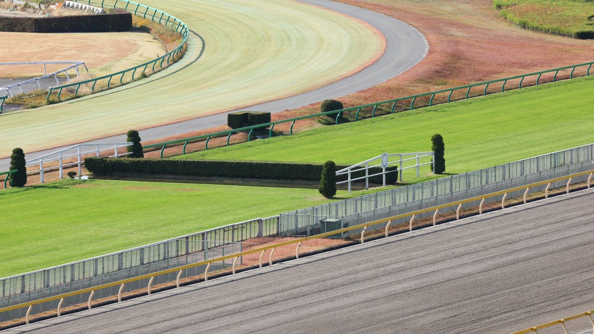 The Different Kinds Of Horse Races Explained