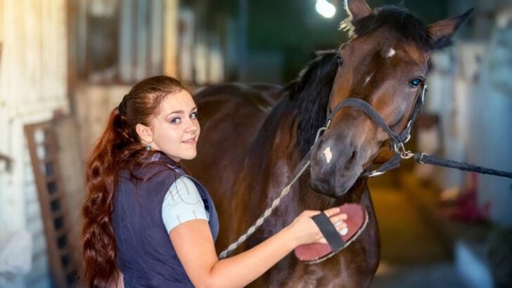 Picture of a girl grooming her horse.