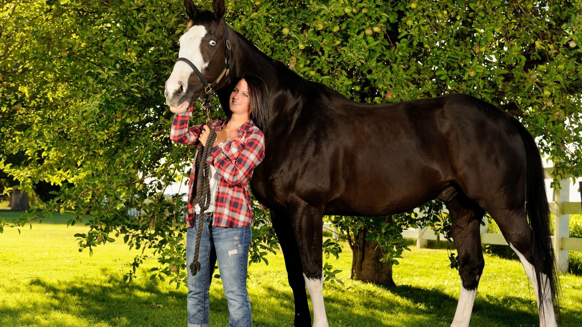 The Cost To Own A Horse? Plus 5 Costsaving Tips!