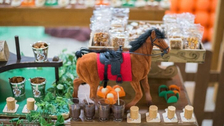 Unique and Fun Horse Decoration Ideas For A Boy Or Girls Party