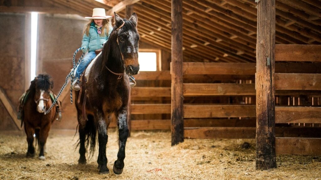 Picture of a girl riding a horse in a barn that is well lit.