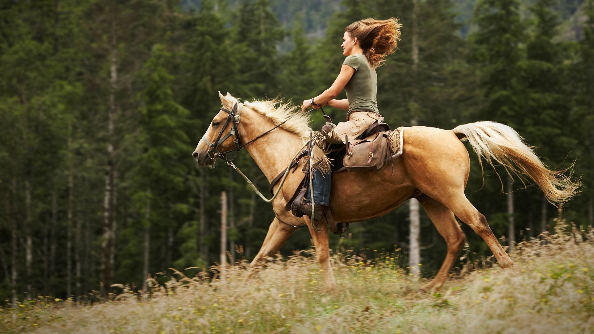 Picture of a woman horse riding on a Palomino